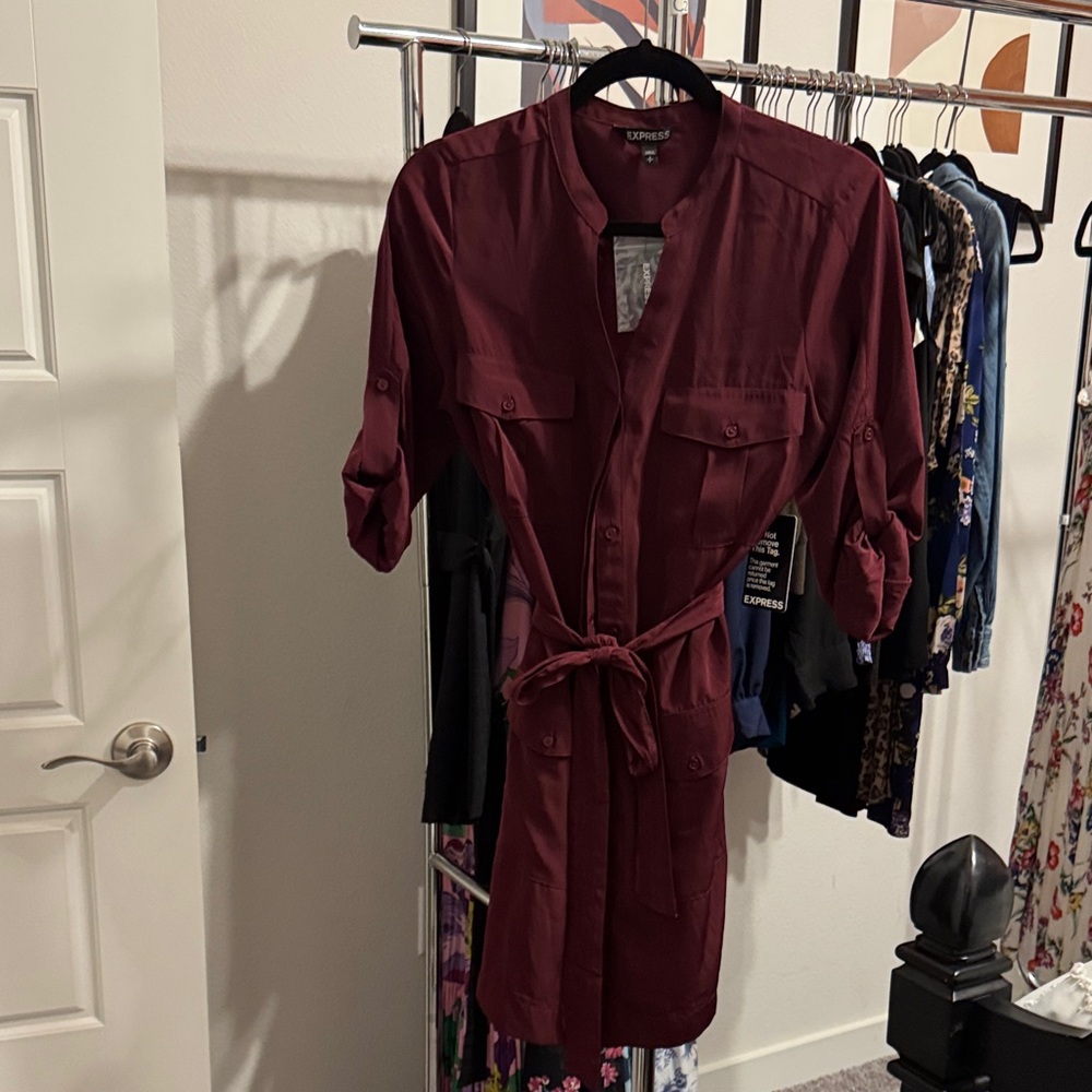 Express Burgundy Long Sleeve Dress